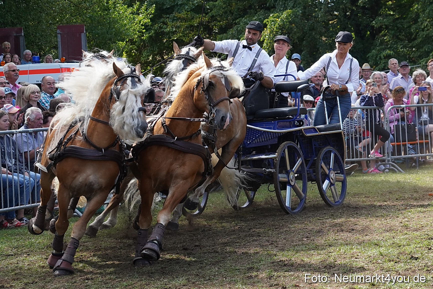 Pferde und Fohlenschau 2022 0258 